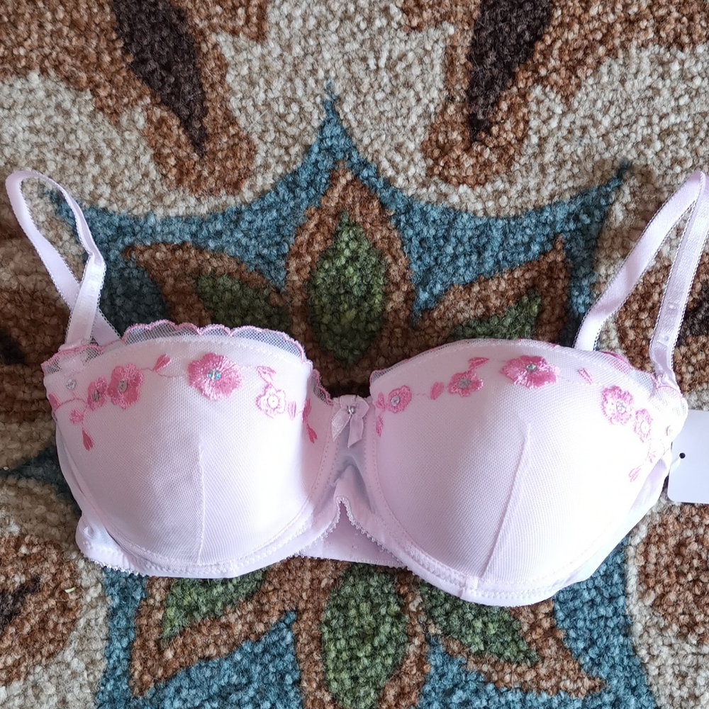 Rene Rofe Pink Bra - Picture 2 of 9